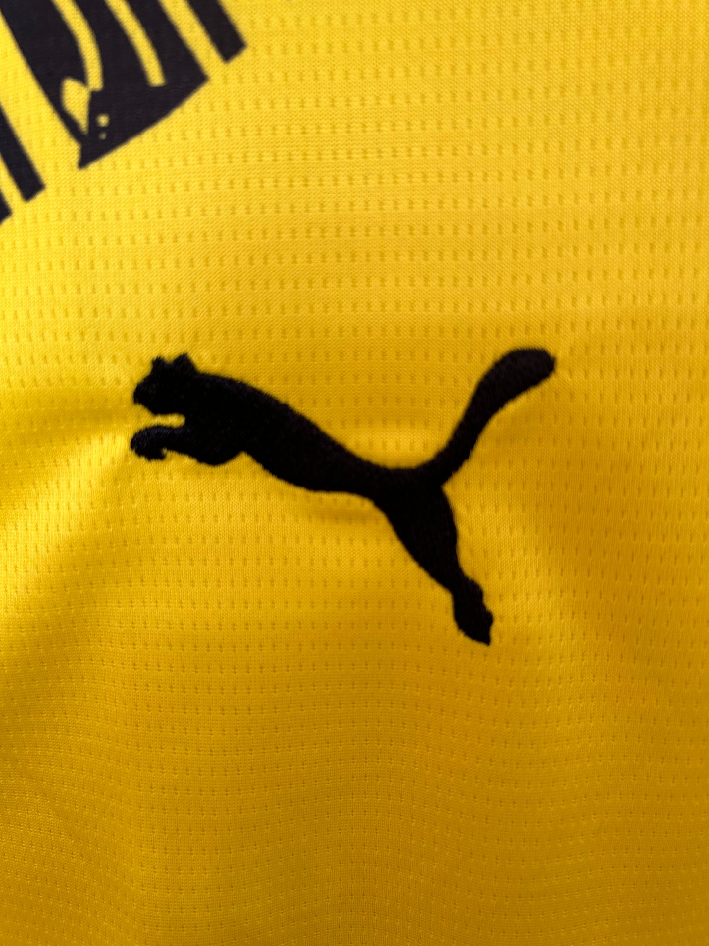 Dortmund 25/26 Thuis Shirt