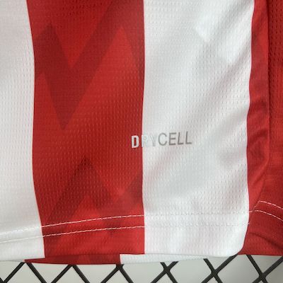 PSV 2025/26 Thuis Shirt