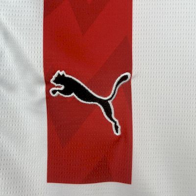 PSV 2025/26 Thuis Shirt